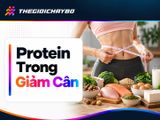 Protein Trong Giảm Cân: Vai Trò Và Cách Cân Đối Khẩu Phần