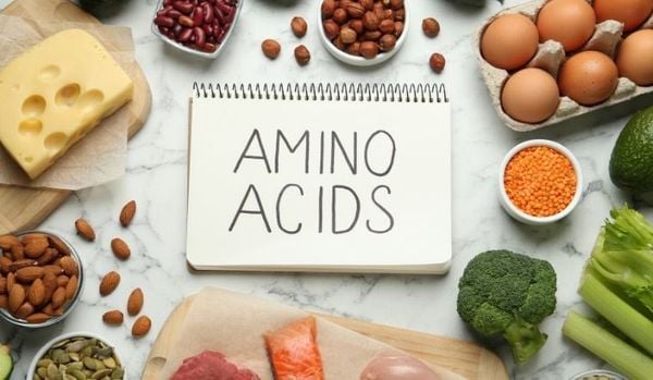 Cơ thể hấp thụ protein thành axit amin