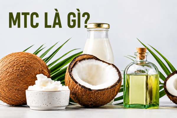 MCT là gì?