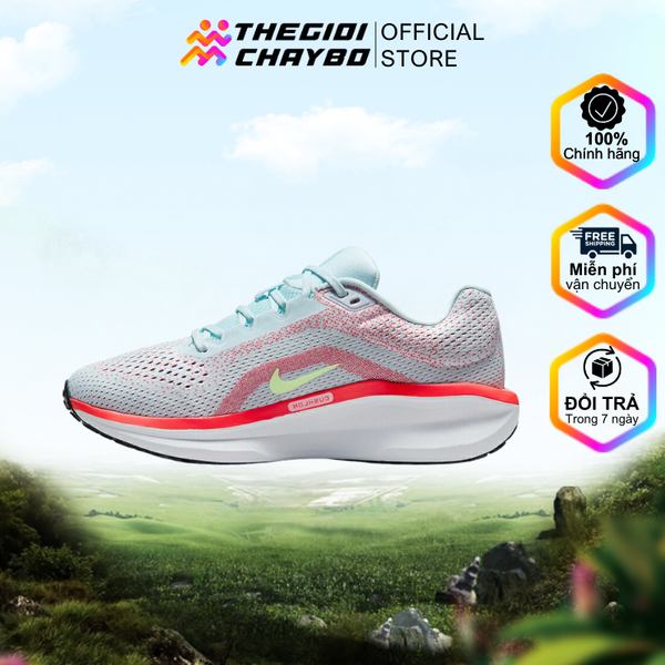 Nike Winflo