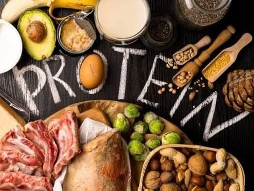 Protein là gì