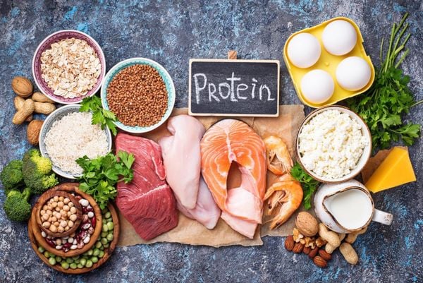 Protein giúp sửa chữa mô, tạo enzyme, hormone, kháng thể và nhiều chức năng khác của cơ thể.