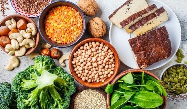 Đạm Thực Vật Là Gì ?