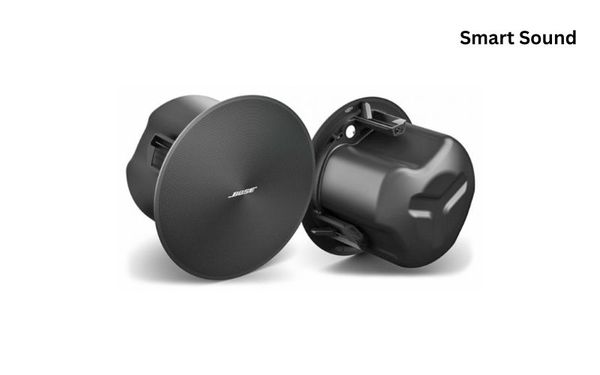 Loa âm trần cao cấp Bose DM5C