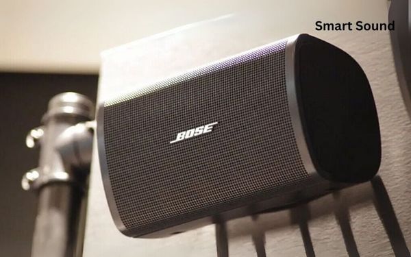 Loa Bose DesignMax DM3SE