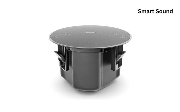 Loa Bose DesignMax DM5C chính hãng