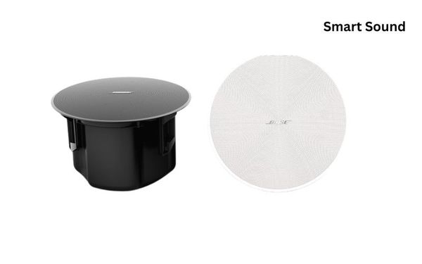 Loa Bose DesignMax DM5C