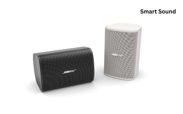 Loa treo tường cao cấp Bose DM3SE