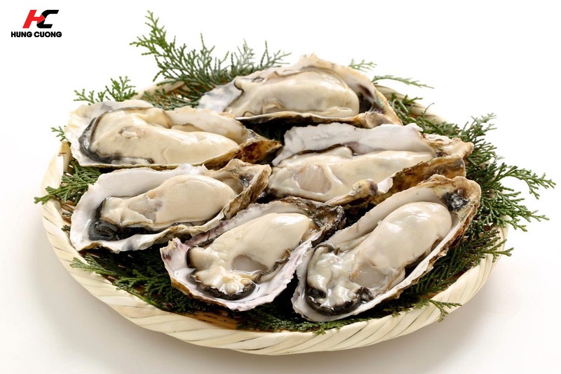 Hàu và động vật có vỏ (Nguồn Kẽm tự nhiên đậm đặc)