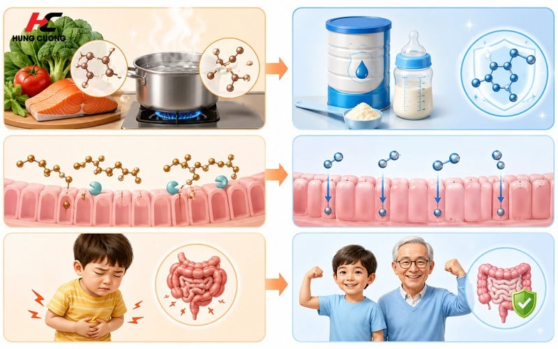 Nên chọn Axit Folic từ sữa công thức chuẩn hóa