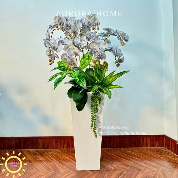 chau-hoa-lan-ho-diep-cao-cap