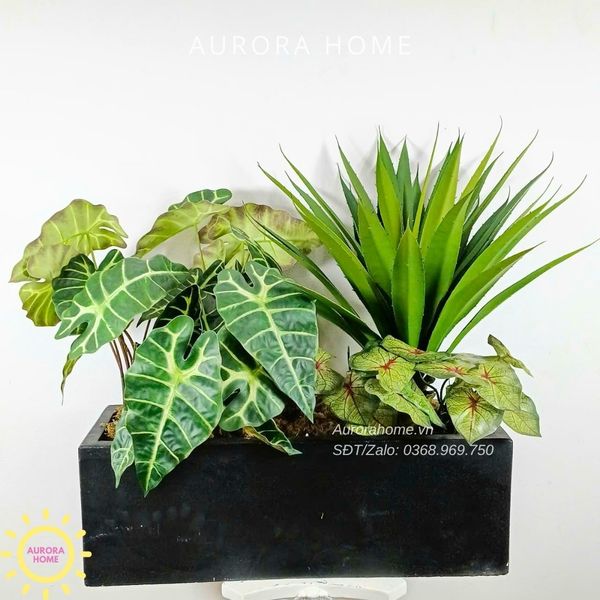 bon-cay-gia-trang-tri