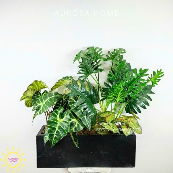 bon-cay-gia-trang-tri