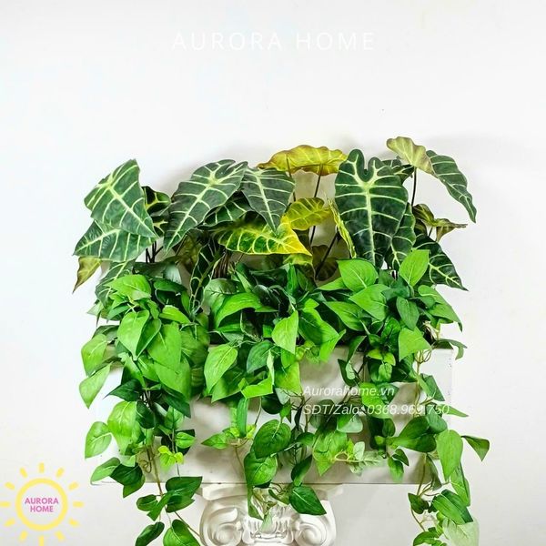 bon-cay-gia-trang-tri