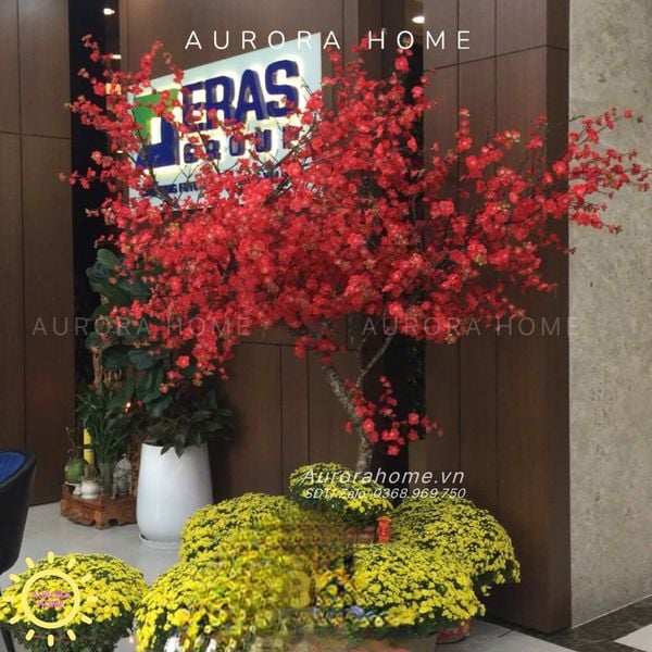 cay-dao-do-trang-tri