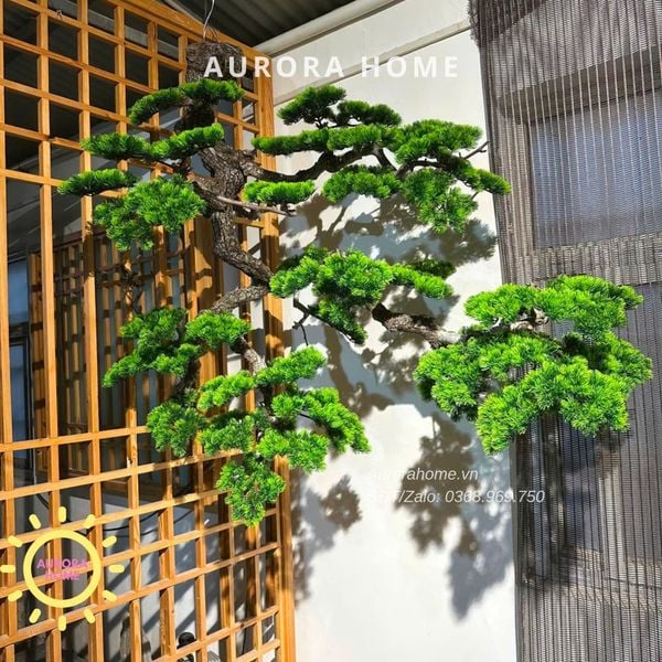 cay-tung-bonsai-tha-treo