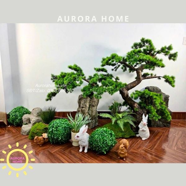 cay-tung-bonsai-gia-cao-cap