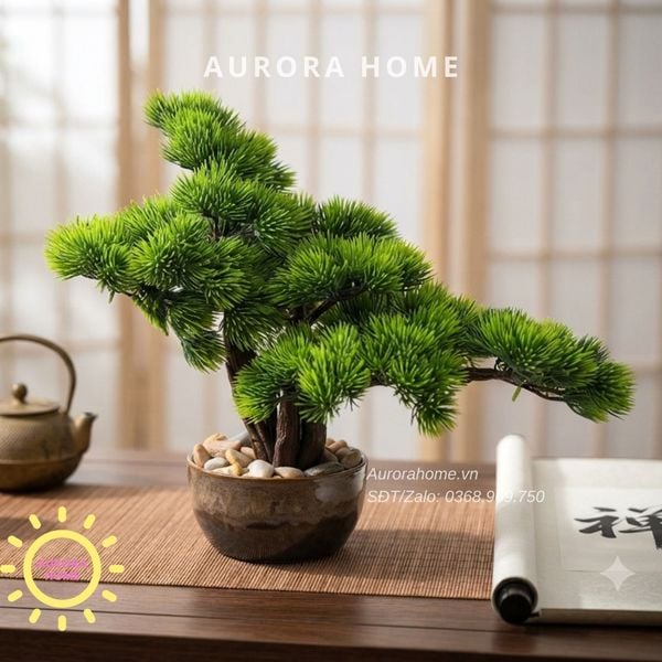 cay-tung-bonsai-mini-de-ban