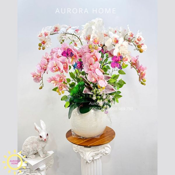 chau-hoa-lan-ho-diep-cao-cap