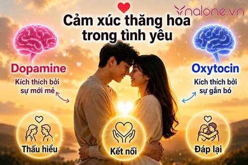 Cảm xúc thăng hoa là gì?