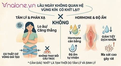 lâu ngày không quan hệ vùng kín có khít lại không?