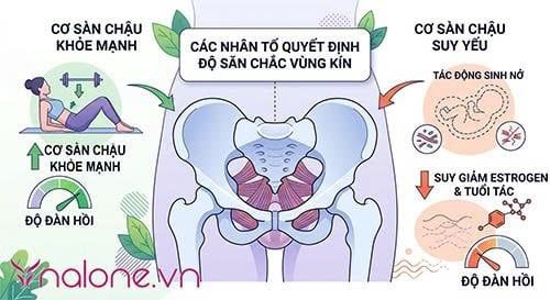 lâu ngày không quan hệ vùng kín có khít lại không?