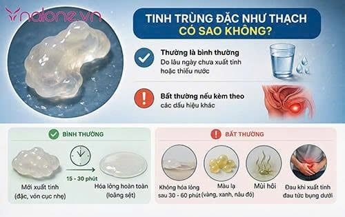 Tinh trùng đặc như thạch có sao không?