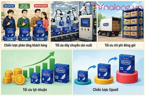 Tại sao BCS luôn đóng gói 3-6-12 cái trong một hộp
