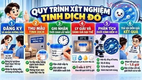 Tinh dịch đồ là gì?