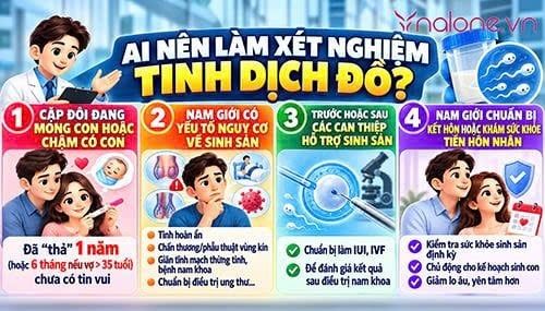 Tinh dịch đồ là gì?