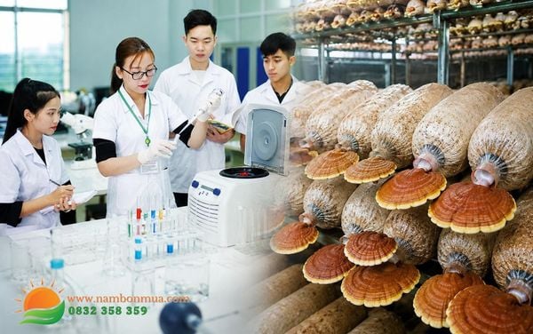 Vien nghien cuu nam an va nam duoc lieu chuyen giao cong nghe Lang nam Bon Mua.