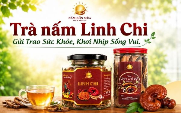 San pham nam Linh Chi chat luong cao cua Lang nam Bon Mua.