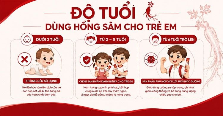 Độ tuổi phù hợp sử dụng Hồng Sâm cho trẻ nhỏ