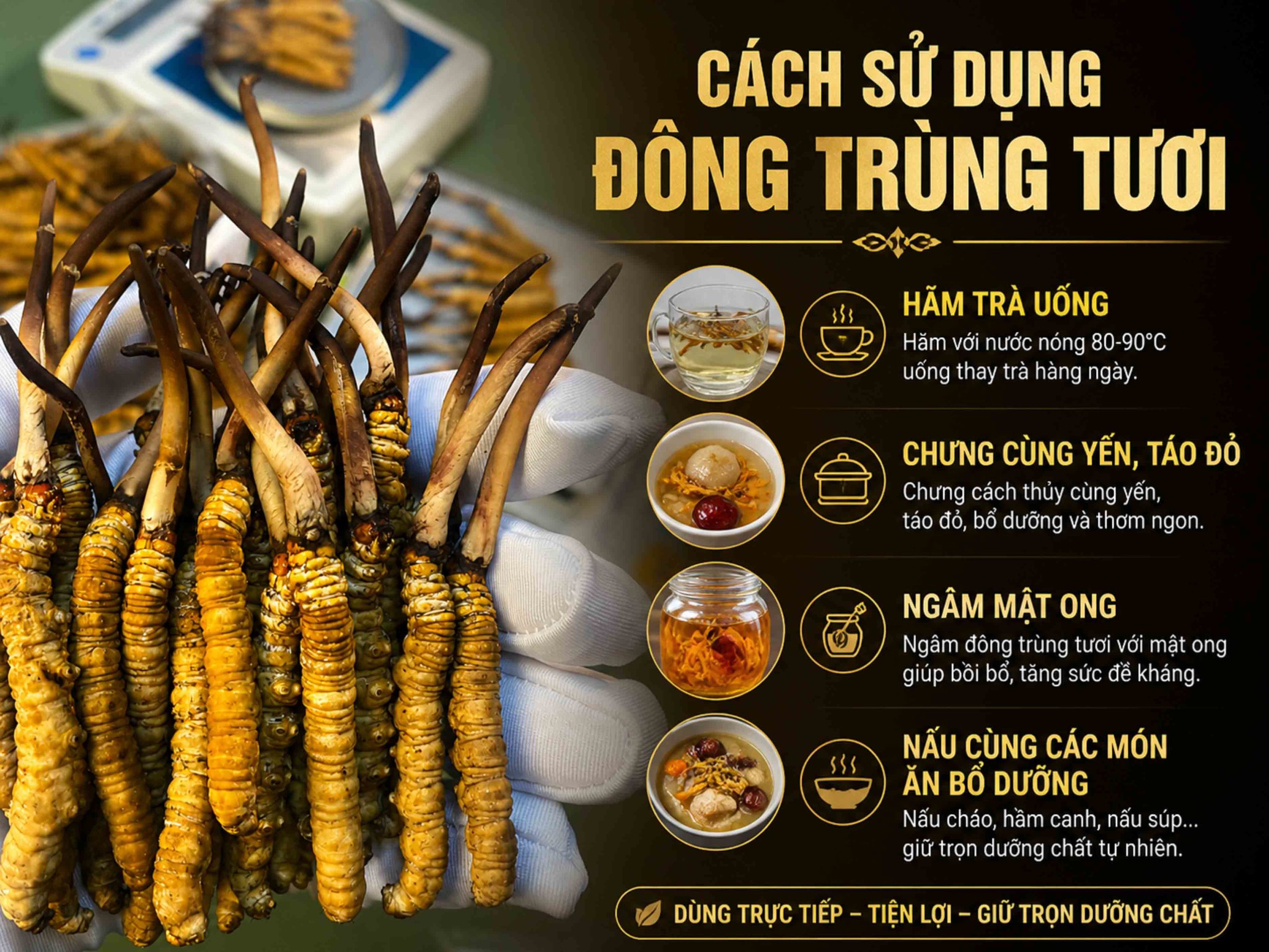 Các Cách Dùng Đông Trùng Hạ Thảo Tây Tạng Tươi Hiệu Quả Nhất