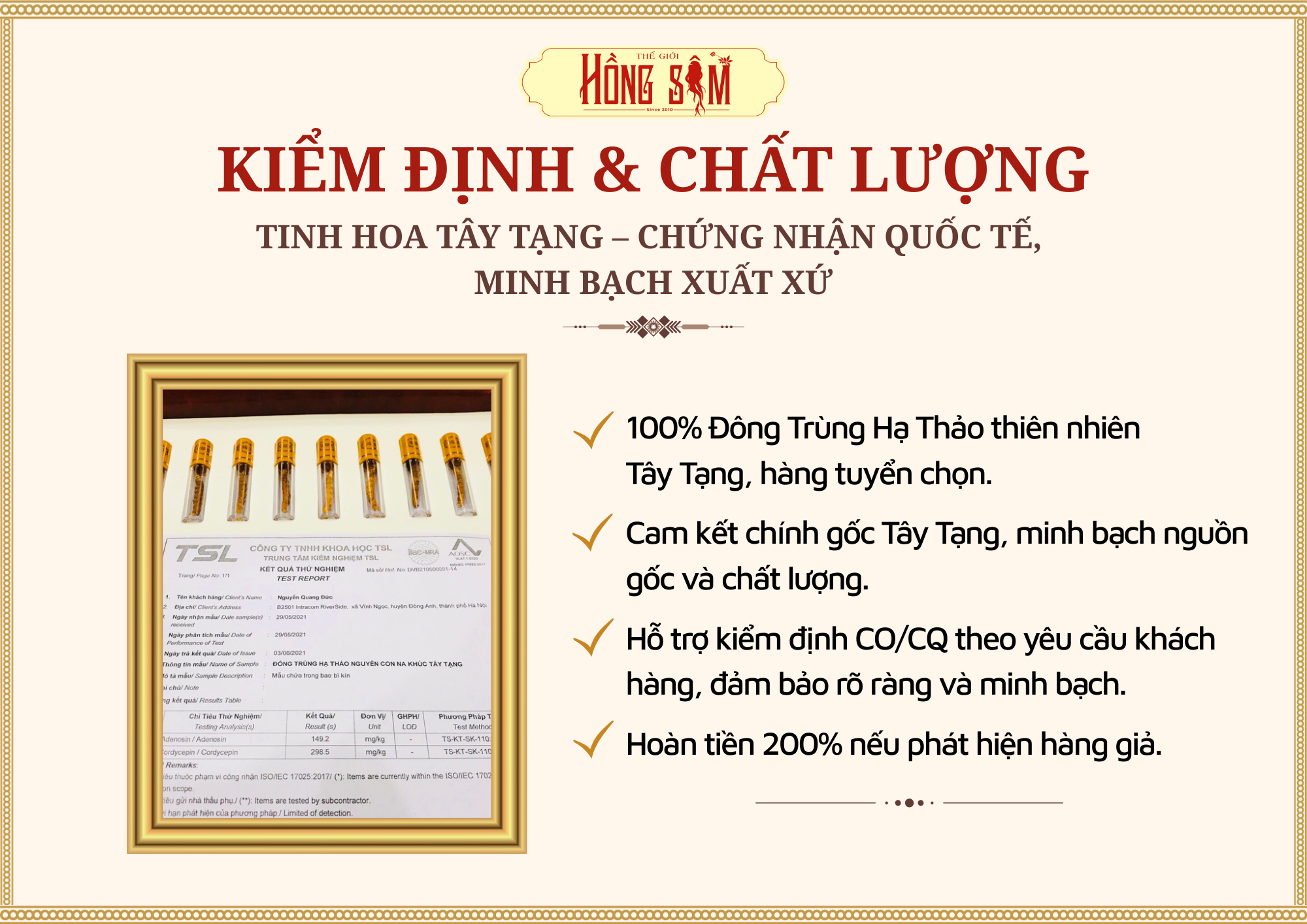 Cam kết chất lượng con đông trùng hạ thảo Tây Tạng tại Thế Giới Hồng Sâm