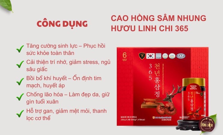 Hình ảnh bài viết