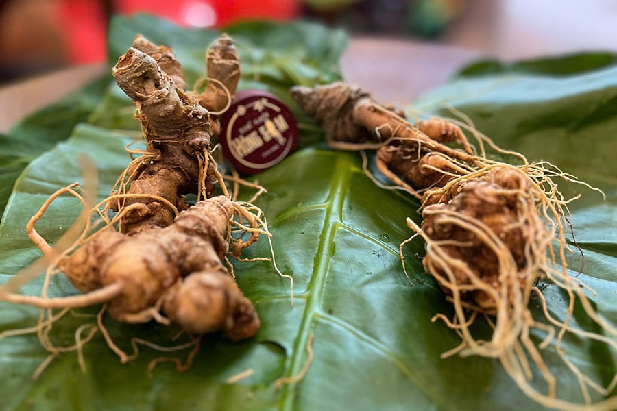 Củ sâm ngọc linh tại Thế Giới Hồng Sâm