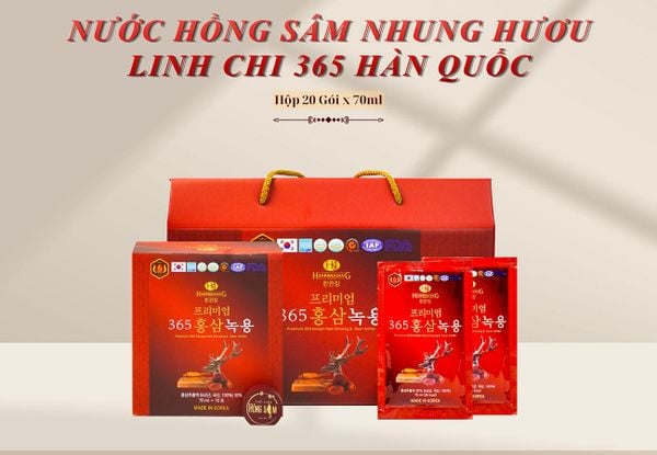 Hình ảnh bài viết