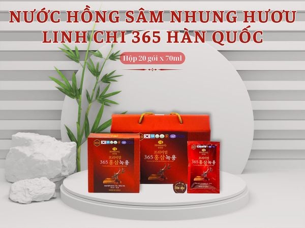 Hình ảnh bài viết