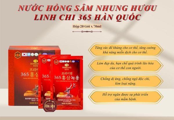 Hình ảnh bài viết