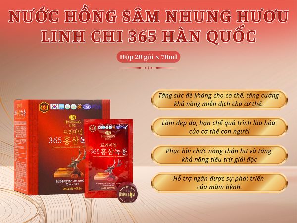 Hình ảnh bài viết