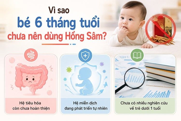 Bé 6 tháng tuổi không nên sử dụng Hồng Sâm