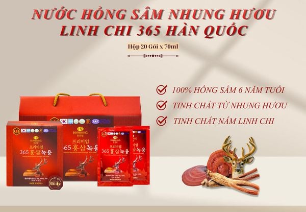 Hình ảnh bài viết