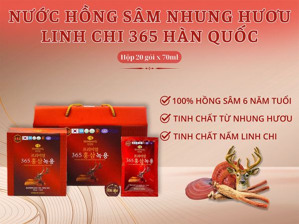 Hình ảnh bài viết