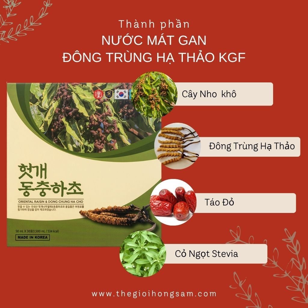 Thành phần chính trong Nước Mát Gan Đông Trùng Hạ Thảo KGF