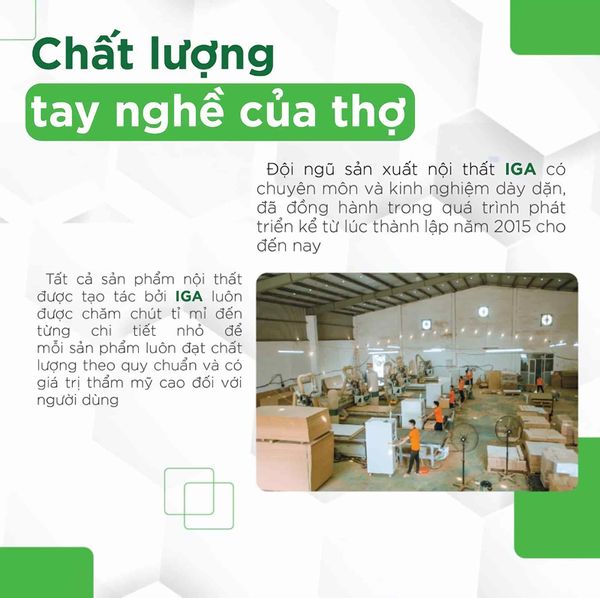 năng lực iga
