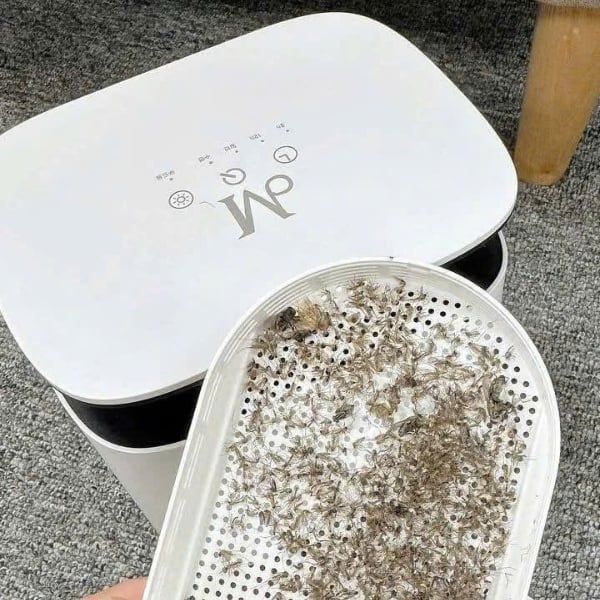 Máy bắt muỗi The M Trap An toàn cho sức khỏe