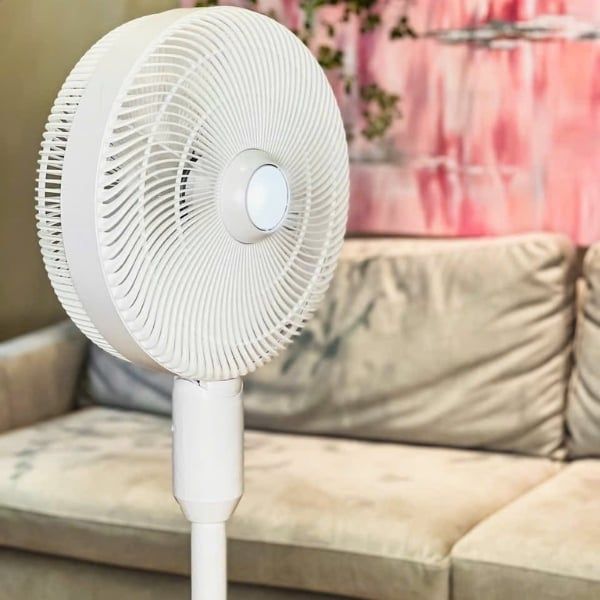 Quạt tạo ẩm Quạt phun sương tạo ẩm De Muller Với công suất 80 W, máy không chỉ đảm bảo lưu thông không khí mạnh mẽ mà còn tạo ra bầu không khí mát mẻ