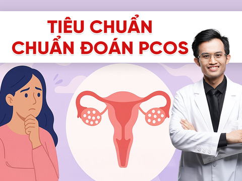 Buồng trứng đa nang nhẹ là gì? Tiêu chuẩn chẩn đoán và khả năng thụ thai