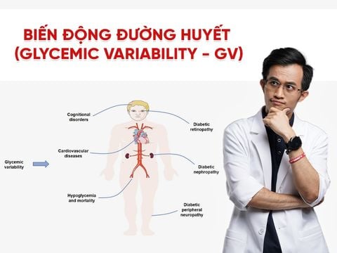Glycemic Variability là gì? Tại sao dao động đường huyết quyết định sức khỏe chuyển hóa?